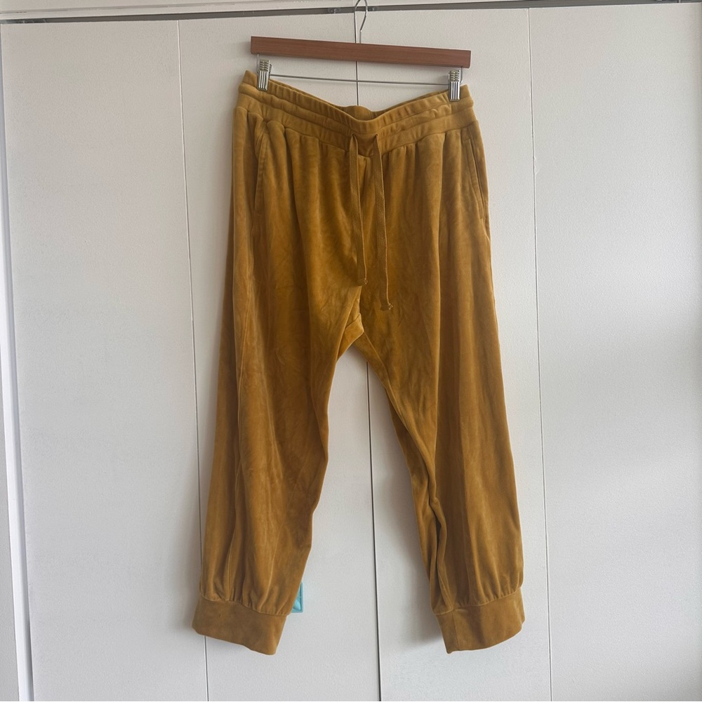 Saturdays Sundays by Anthropologie velour Sweatpants. Excellent condition.
